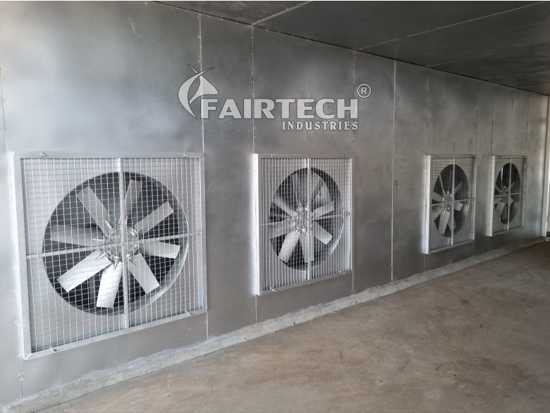 Fan